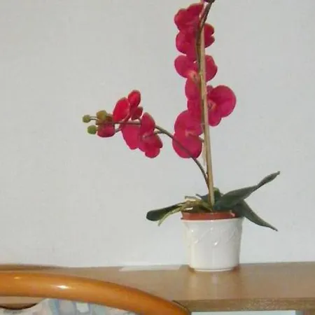 Hotel-seemeile-doppelzimmer-4